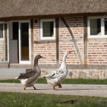 Reethus 22 Loft 2 Apartment Timmendorfer Strand